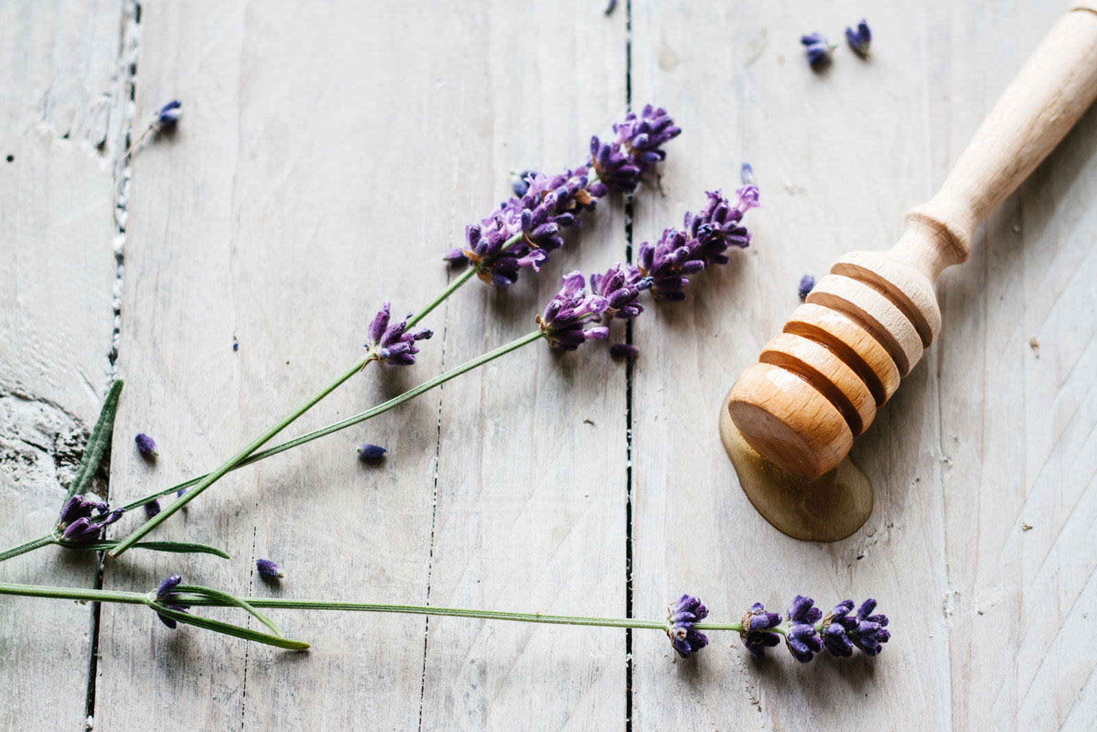 FoxxMD Evolutionary Skin Care
